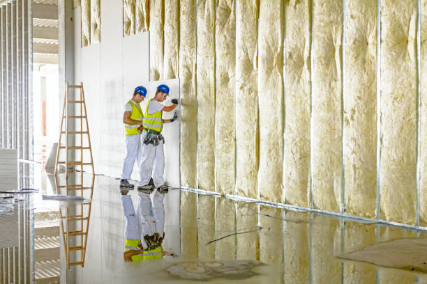 Best Spray Foam Insulation in Sandstone, MN